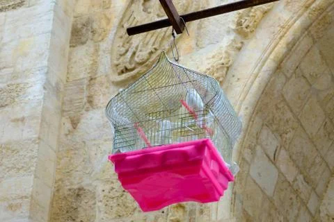 A bird in a cage hanging from the ceiling Stock Photos