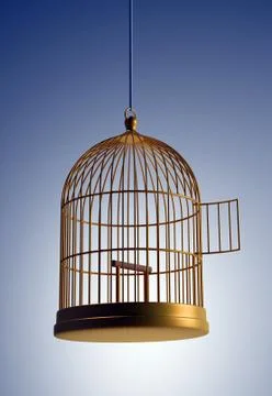 Bird cage Illustrazione stock