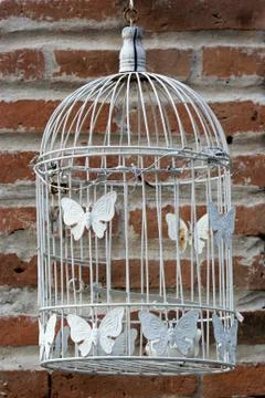 Bird cage near the wall Stock-Fotos