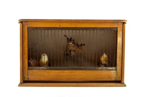 Bird cage Stock Photos