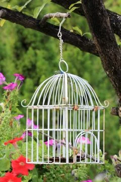 Bird cage Stock Photos