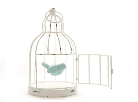 Bird in cage Stock Photos