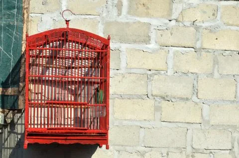Bird in a cage Stock Photos