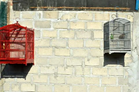 Bird in a cage 库存照片