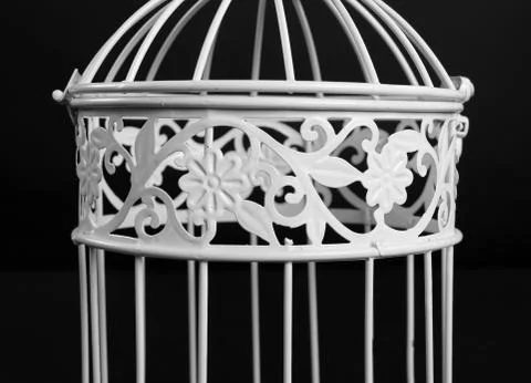 Bird cage Photos