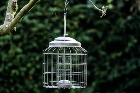 Bird cage Stock Photos