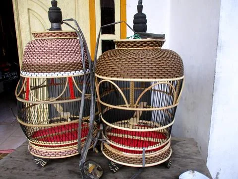 Bird cage 写真素材