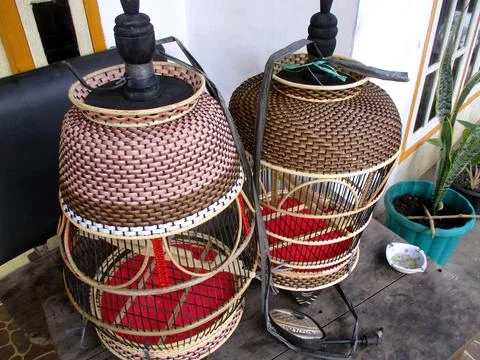 Bird cage 写真素材