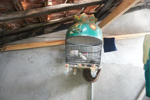 Bird cage Foto stock