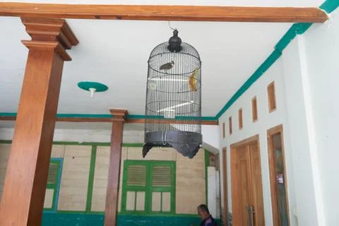 Bird cage Stock Photos