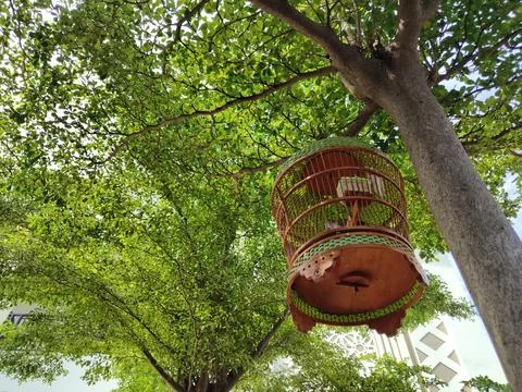 Bird cage in a shady tree Stockfoto's
