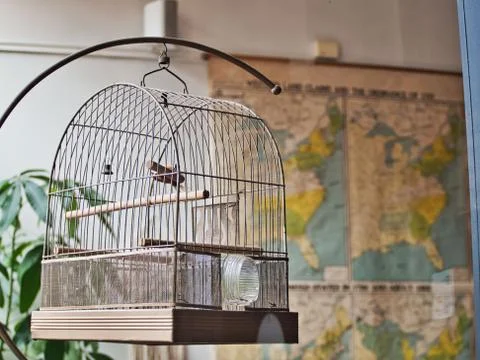 Bird cage in a store front window Foto stock