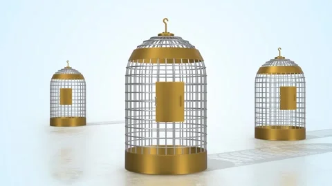 Bird Cages on a Light Reflective Floor. Golden Base Bird Cages 3D Animation. 4K Stock Footage 307021665
