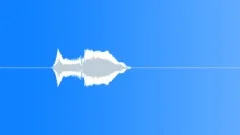 Bird call 2 Sound Effect