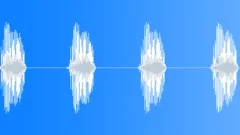 BIRD, CALL Sound Effect