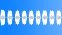 BIRD, CALL Sound Effect