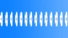 BIRD, CALL Sound Effect
