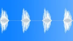 BIRD, CALL Sound Effect