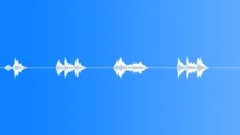 Bird callingSound Effect
