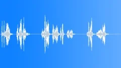 Bird callingSound Effect