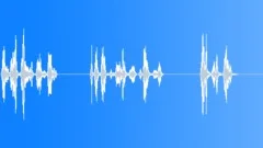 Bird callingSound Effect