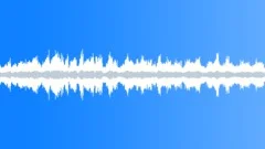 Bird calls: Dawn Chrous Sound Effect