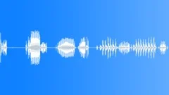 BIRD, CARDINALSound Effect