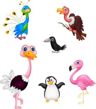 Bird cartoon collection Stock Illustration