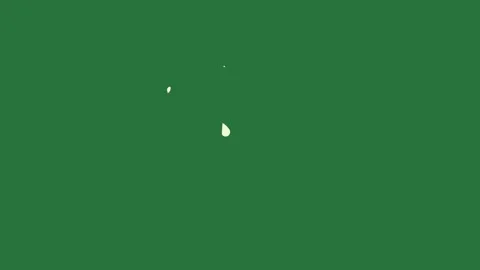 Bird on cat screen the moon in middle silhouette of dog green screen depth Stock Footage 335696946