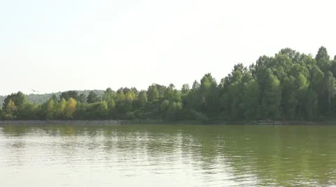 Bird catches fish in Siberian river Stock Footage