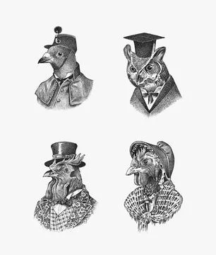 Bird character in a hat and suit. Dove Owl Rooster Chicken Peregrine falcon. The Stock Illustration
