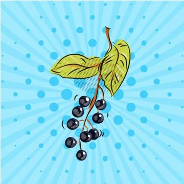 Bird cherry twig on blue background . Vector illustration. Hand drawn on style Stock Illustration