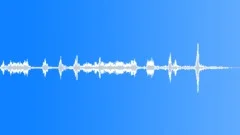 BIRD CHICKEN BEREL CLUCKING02 Sound Effect