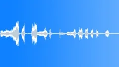 BIRD CHICKEN BEREL CLUCKING05 Sound Effect