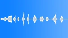 BIRD CHICKEN BEREL CLUCKING10 Sound Effect