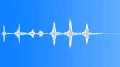 BIRD CHICKEN KOEYOSHI CLUCKING GROUP03 Sound Effect