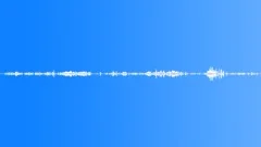 BIRD, CHICKEN Sound Effect