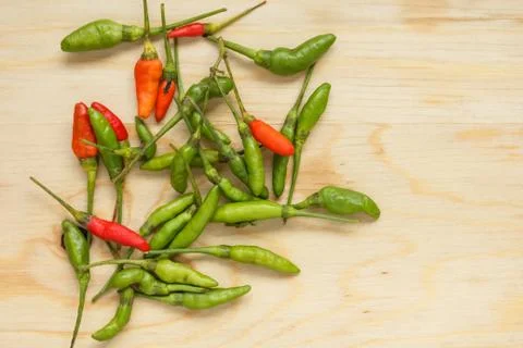 Bird Chilli Stock Photos