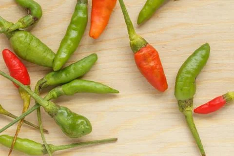 Bird Chilli Stock Photos