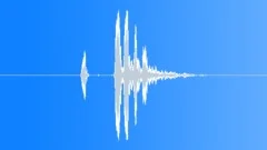 Bird chirp 026Sound Effect