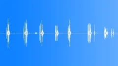 Bird chirp 027Sound Effect