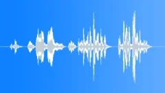 Bird chirp 060Sound Effect