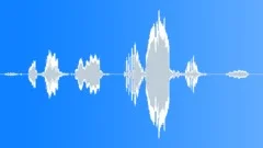 Bird chirp 080Sound Effect