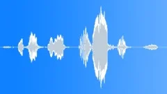 Bird chirp 080Sound Effect