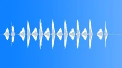 Bird Chirp Alone 3Sound Effect