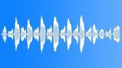 BIRD, CHIRPSound Effect
