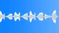BIRD, CHIRPSound Effect