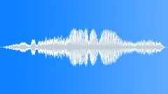 BIRD, CHIRP Sound Effect