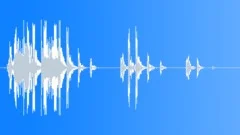 Bird Chirping Door Bell 2Sound Effect