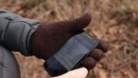 Bird Chirping Видео 104975778